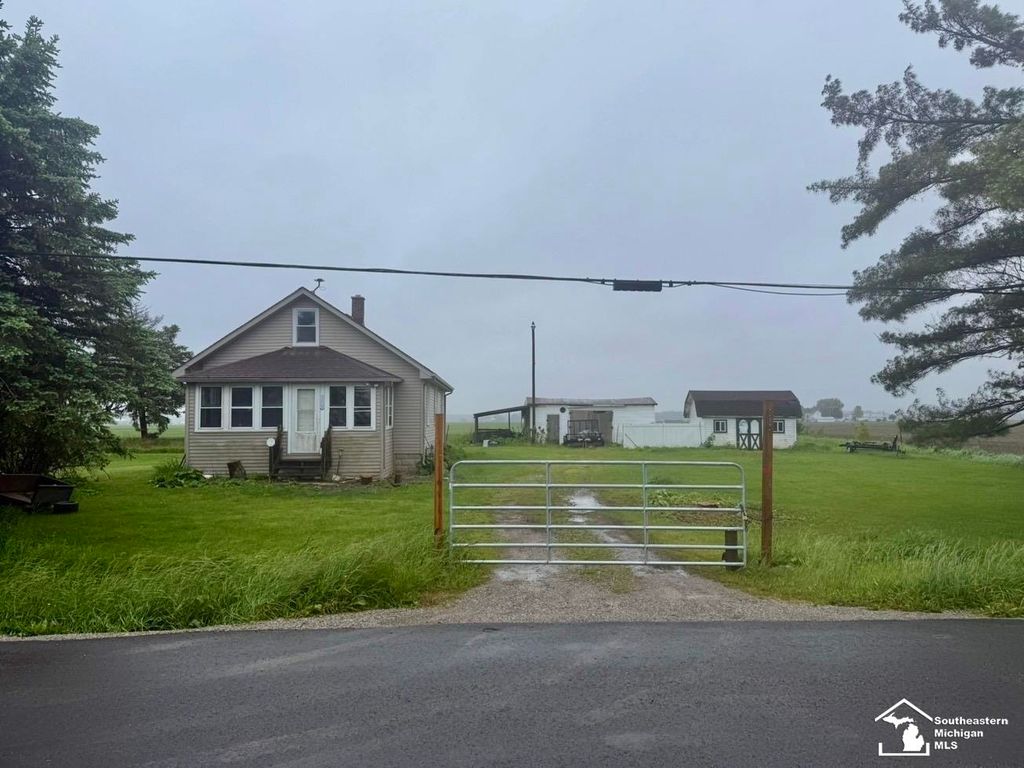619 E Morocco Road, Ida Twp, MI 48182