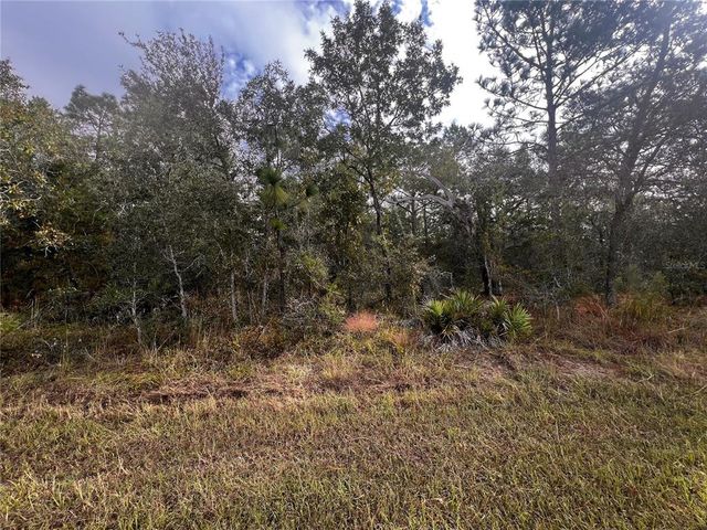 11290 LAPWING ROAD, Weeki Wachee, FL 34614