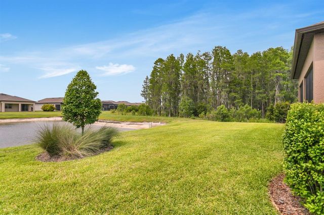 19652 SHIP WHEEL WAY, Land O Lakes, FL 34638