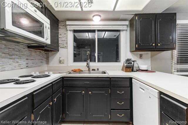 30276 Spring River Drive, Southfield, MI 48076