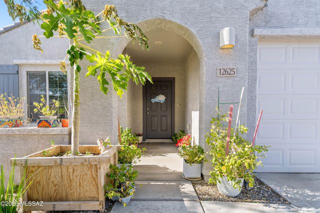 12625 N Wildrose Drive, Marana, AZ 85653