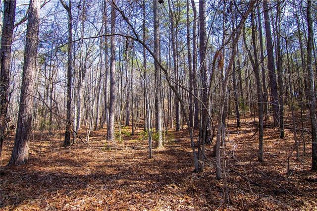 0 KINGS GAP Road, Hamilton, GA 31811