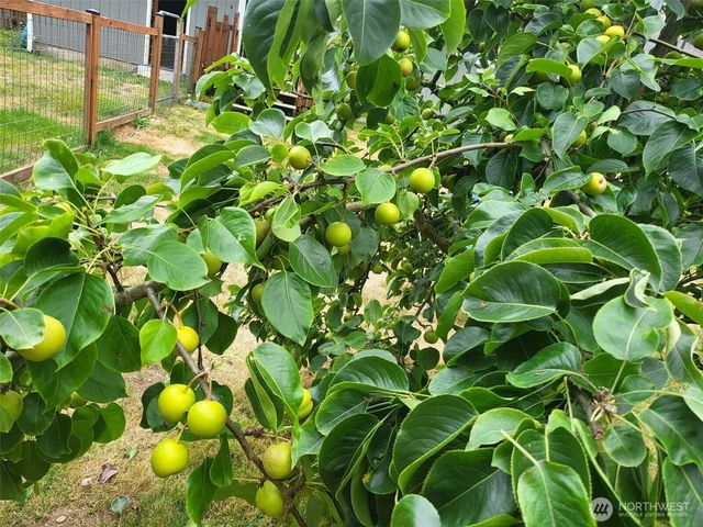 17507 119th Place NE, Arlington, WA 98223