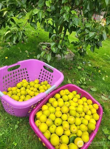 17507 119th Place NE, Arlington, WA 98223