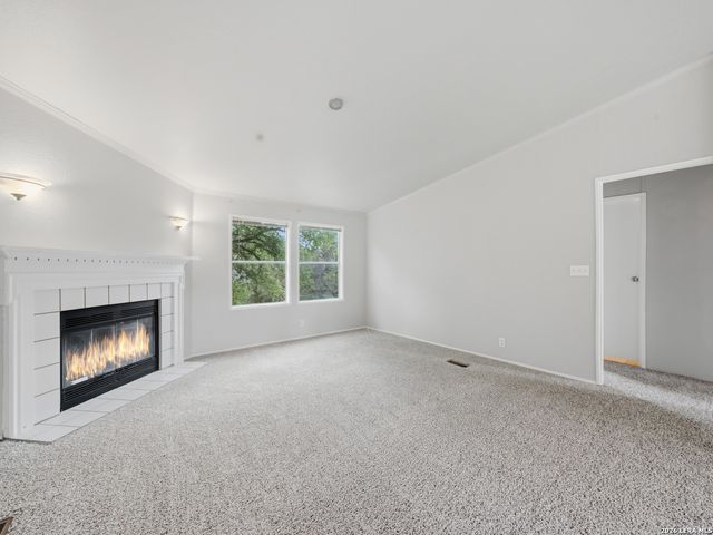733 LINE CAMP LOOP, Spring Branch, TX 78070