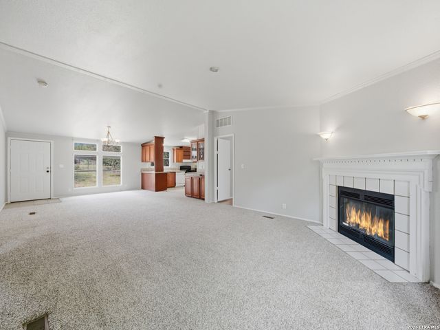 733 LINE CAMP LOOP, Spring Branch, TX 78070