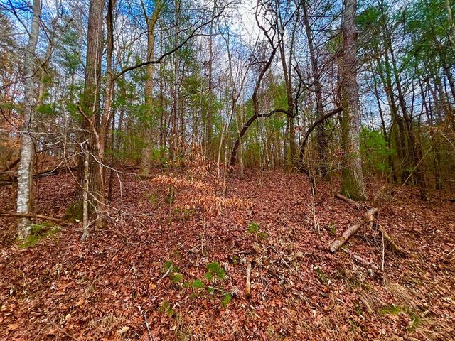 914 Villa Drive, Ellijay, GA 30540