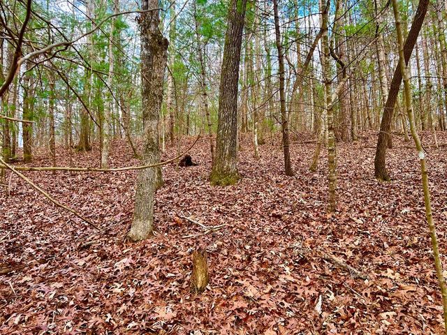 914 Villa Drive, Ellijay, GA 30540