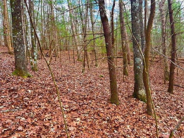 914 Villa Drive, Ellijay, GA 30540