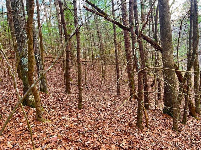 914 Villa Drive, Ellijay, GA 30540