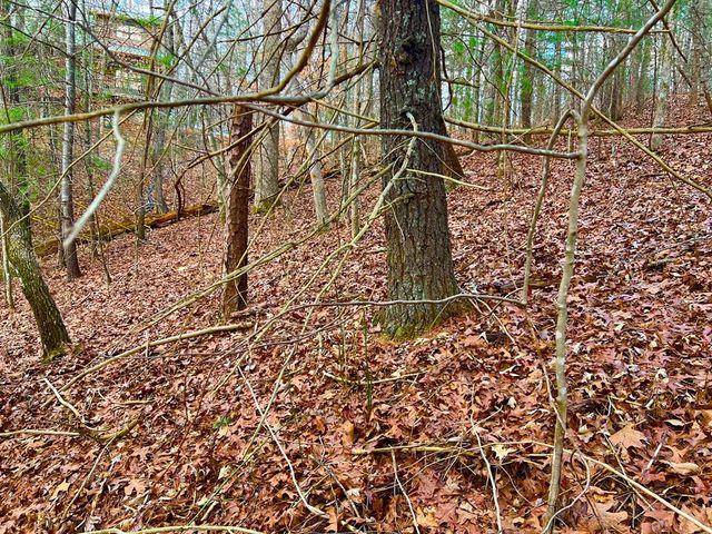 914 Villa Drive, Ellijay, GA 30540