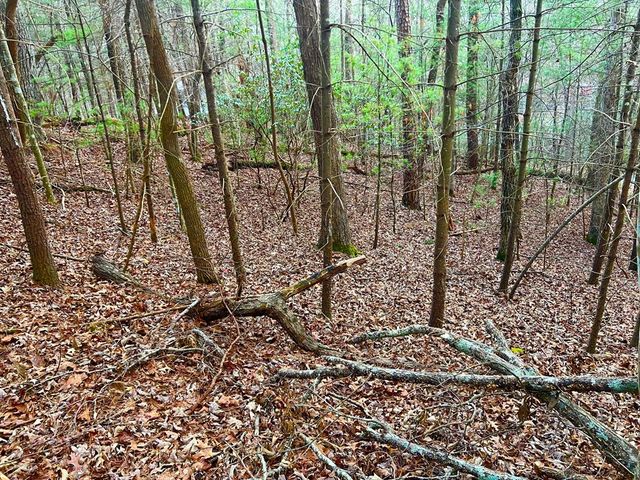 914 Villa Drive, Ellijay, GA 30540