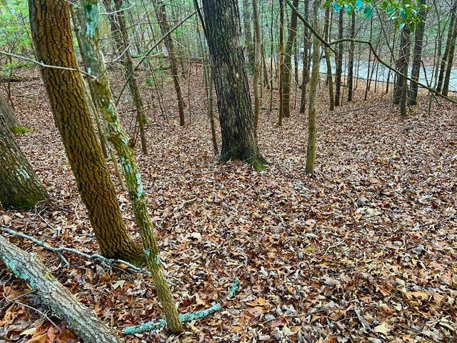 914 Villa Drive, Ellijay, GA 30540