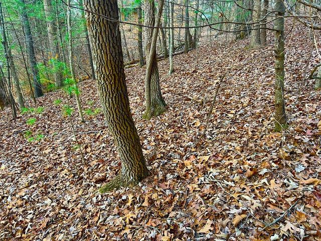 914 Villa Drive, Ellijay, GA 30540