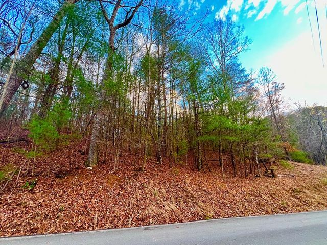 914 Villa Drive, Ellijay, GA 30540
