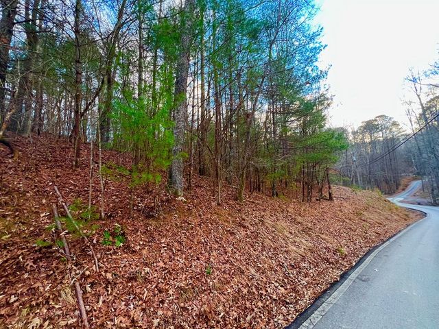 914 Villa Drive, Ellijay, GA 30540