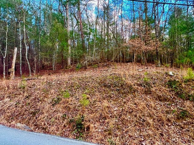 914 Villa Drive, Ellijay, GA 30540