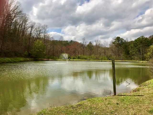 914 Villa Drive, Ellijay, GA 30540