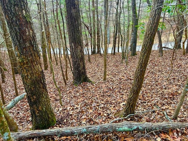 914 Villa Drive, Ellijay, GA 30540