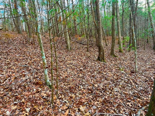 914 Villa Drive, Ellijay, GA 30540