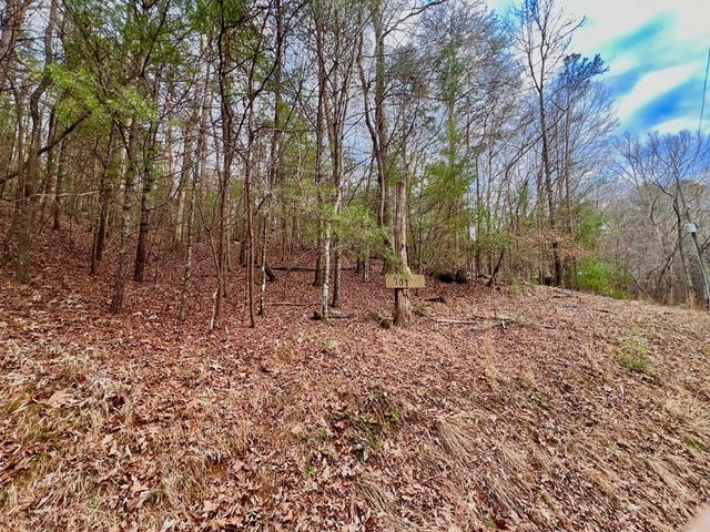 914 Villa Drive, Ellijay, GA 30540