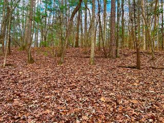 914 Villa Drive, Ellijay, GA 30540