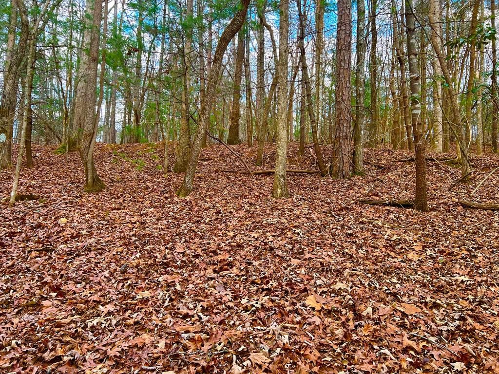 914 Villa Drive, Ellijay, GA 30540