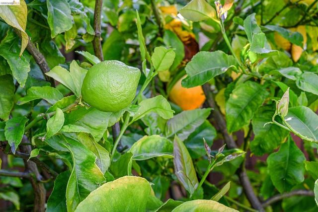 4110 Lusk St, Oakland, CA 94608