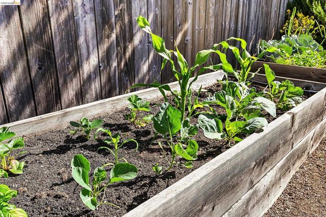 4110 Lusk St, Oakland, CA 94608