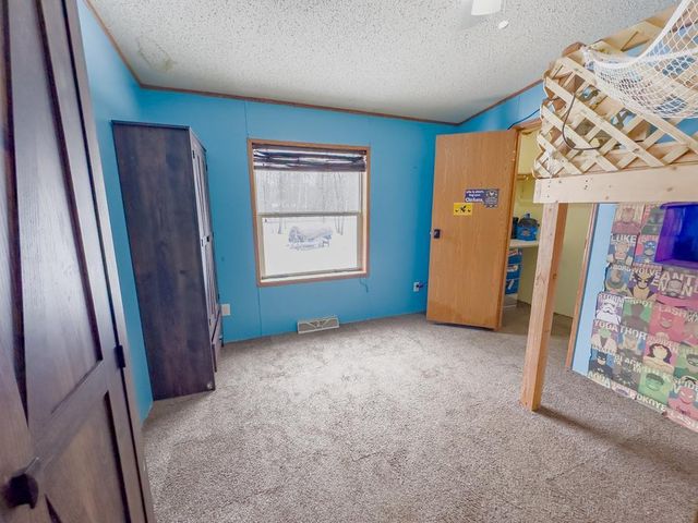 19955 Scenic Highway NE, Blackduck, MN 56630