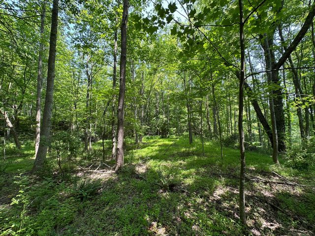 450 Ky Hwy 542, Jackson, KY 41339