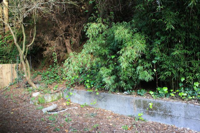 1524 Beverly Drive, Arcata, CA 95521