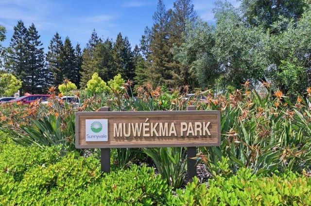 1091 El Capitan Terrace, Sunnyvale, CA 94085