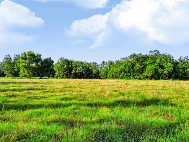 Lot NRC 2 New River Canal Rd, Geismar, LA 70734