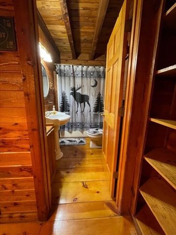 439 Conley Branch Road, Blue Ridge, GA 30513