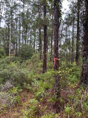 709 BELMONTE DRIVE, Indian Lake Estates, FL 33855