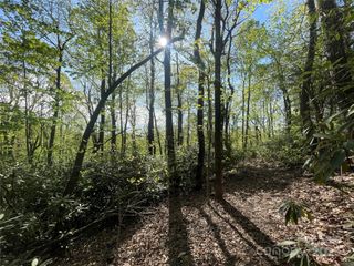 59 Mint Hill Court, Flat Rock, NC 28731