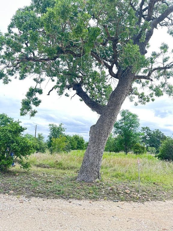 136 Wild Bird LOOP, Smithville, TX 78957