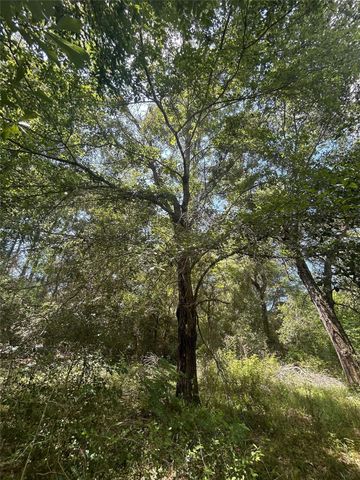 26702 Apache Trail, Magnolia, TX 77354