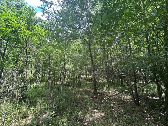 26702 Apache Trail, Magnolia, TX 77354