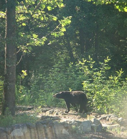 229 Pine Valley DR, Bassett, VA 24055