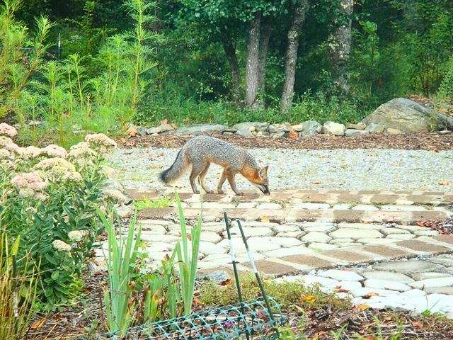 229 Pine Valley DR, Bassett, VA 24055