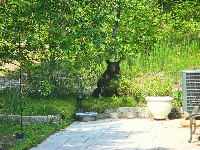 229 Pine Valley DR, Bassett, VA 24055