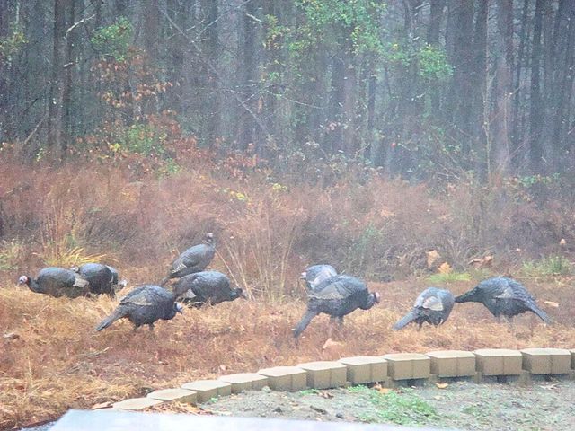 229 Pine Valley DR, Bassett, VA 24055