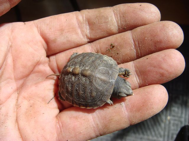 229 Pine Valley DR, Bassett, VA 24055