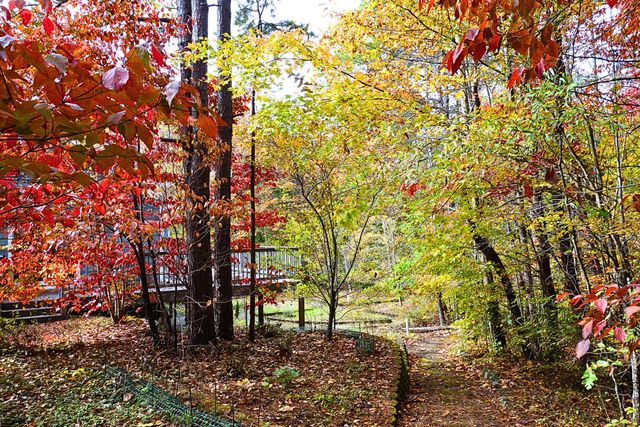 229 Pine Valley DR, Bassett, VA 24055