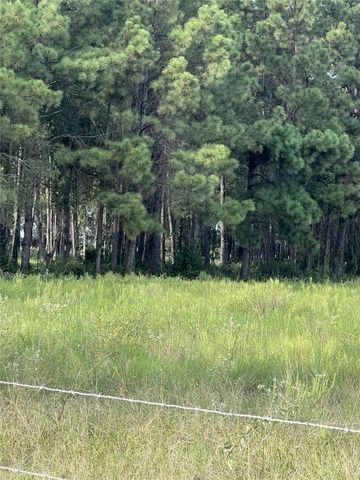 1201 Denson Allen Road, Coldspring, TX 77331