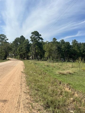 1201 Denson Allen Road, Coldspring, TX 77331