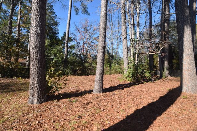 2619 Drayton Drive, Augusta, GA 30906