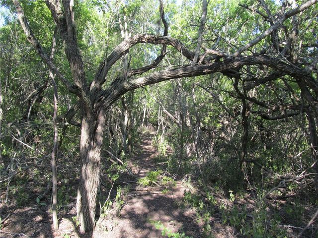 316 CR 175, Sandia, TX 78383